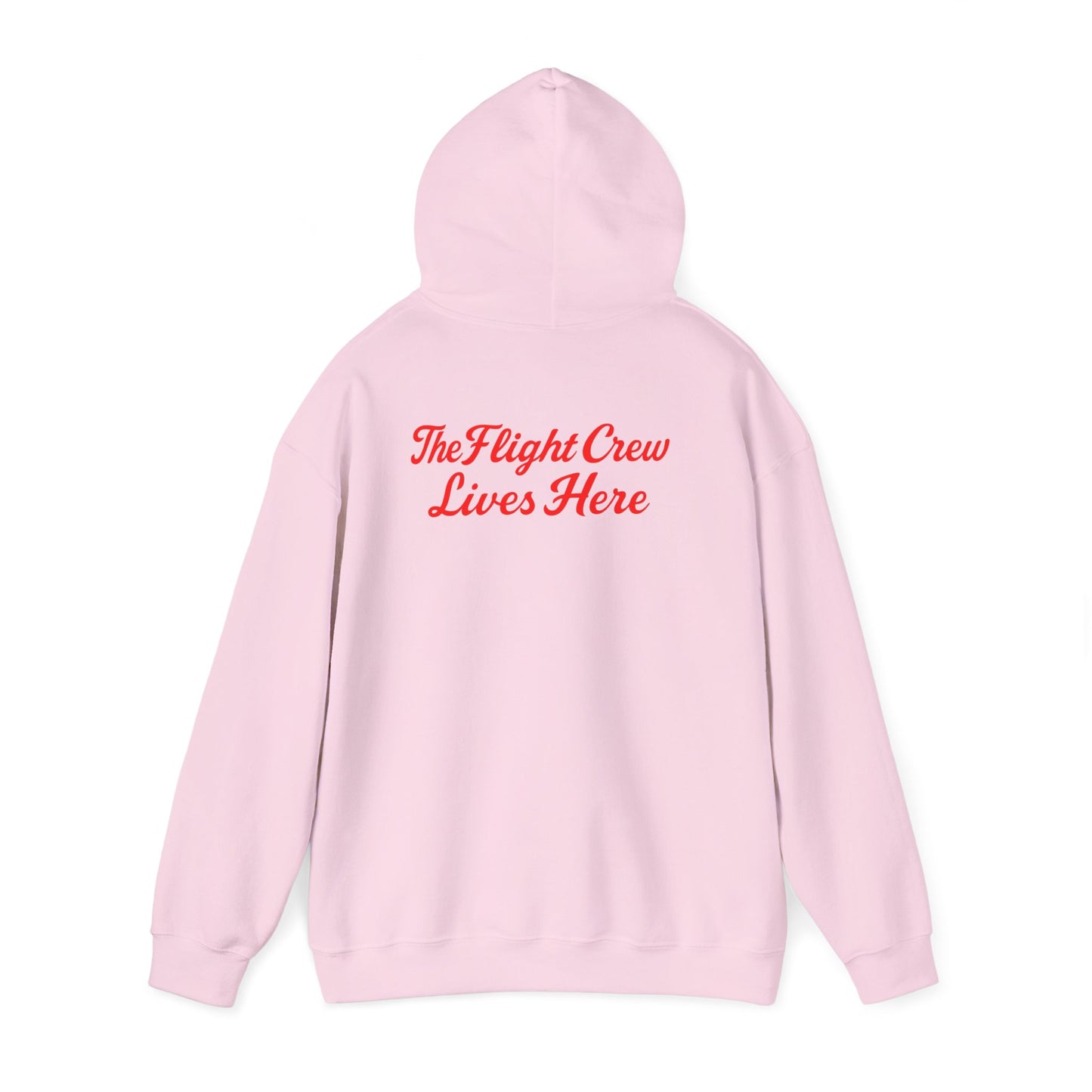 Light pink Flight Crew Hoodie shown from the back