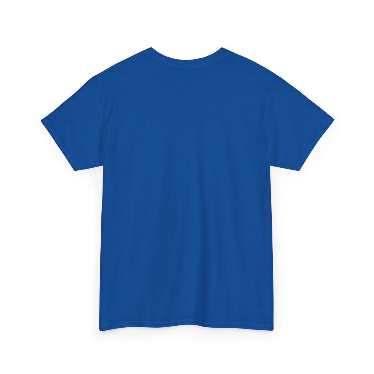 Royal Vintage Flight Crew T-shirt shown from the back
